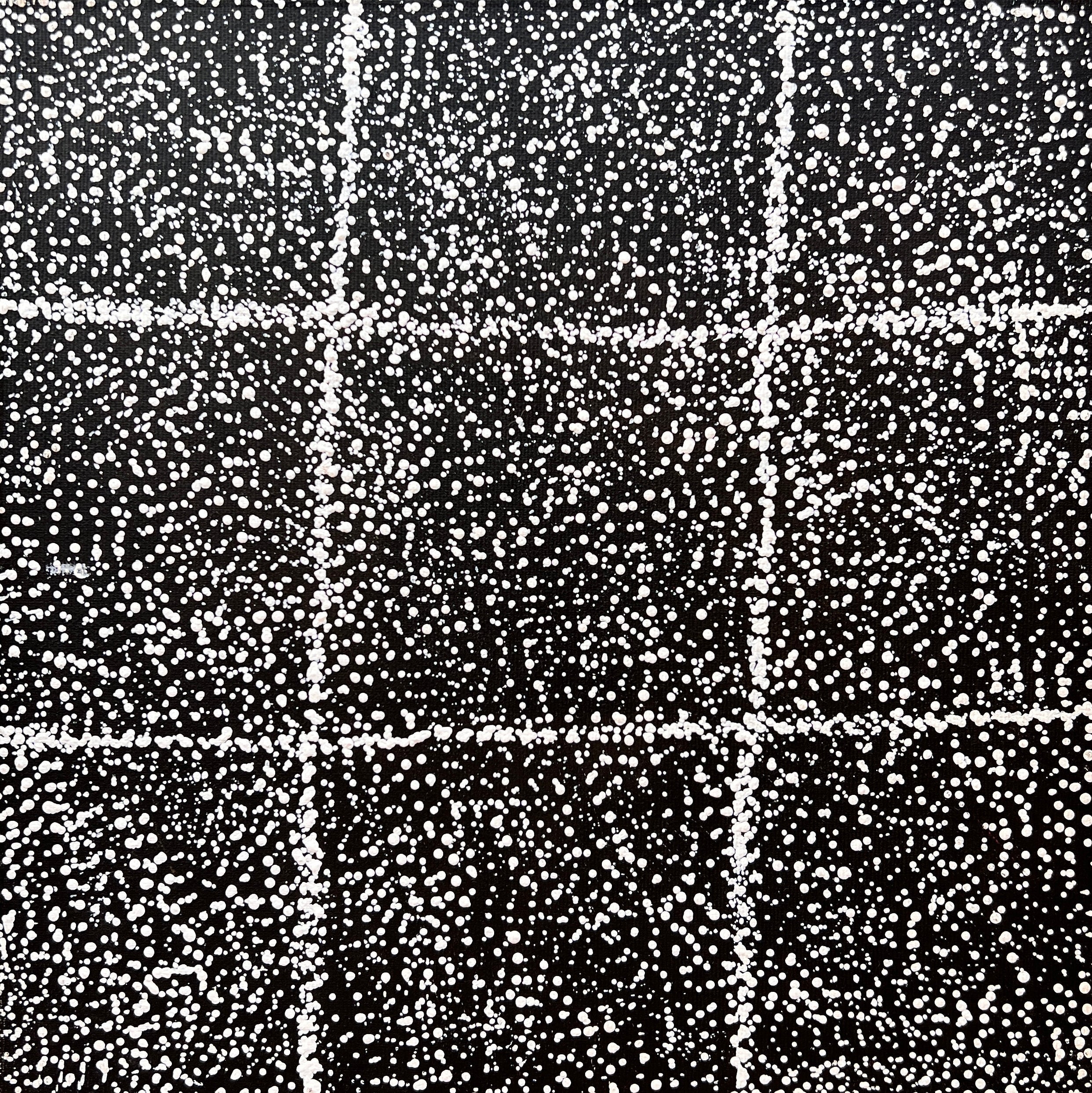 desert-fringe-rush-dreaming by Valentine Nakamarra White, acrylic on canvas, central desert, Aboriginal art