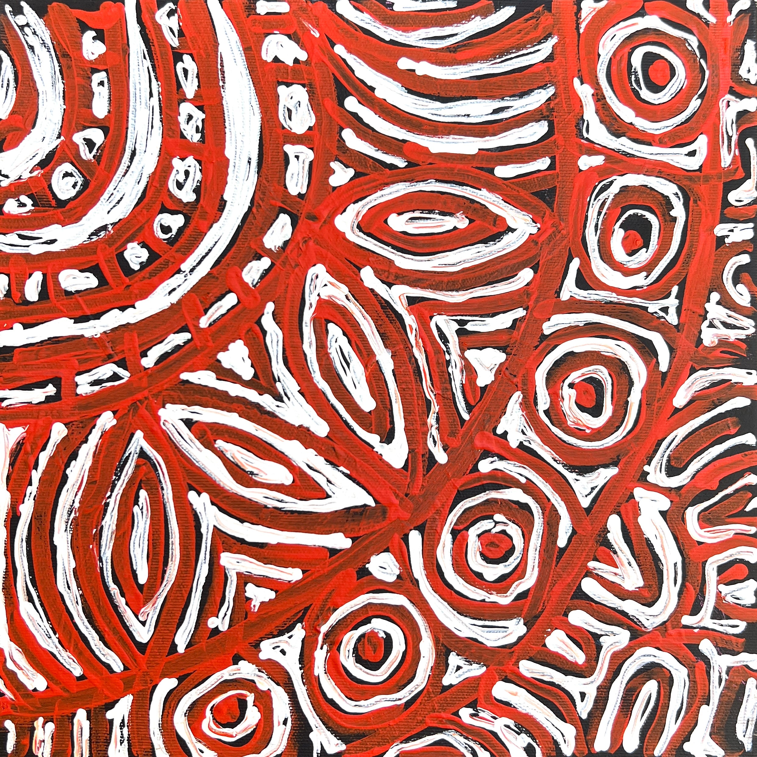 'Water Dreaming' by Juliette Nampijinpa Brown, 30x30cm, Central Desert Aboriginal artwork.