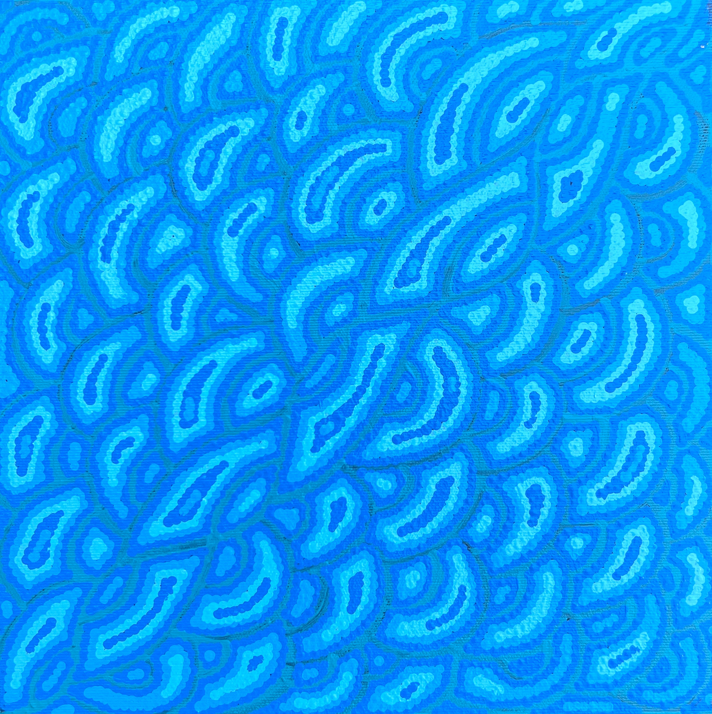 'Bush Potato Dreaming' by Justine Nakamarra Nelson, 30x30cm, Central Desert Aboriginal artwork.