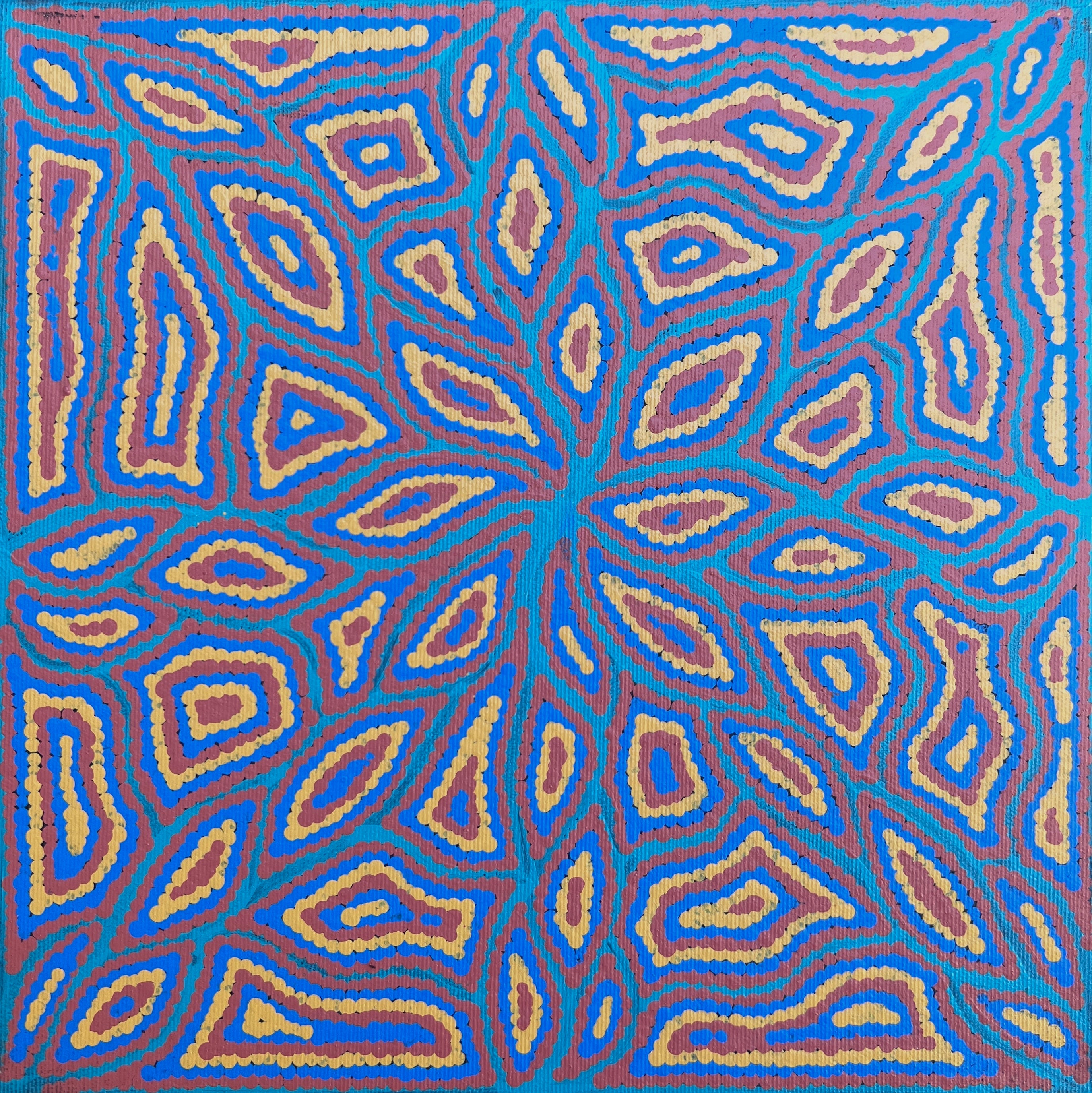 'Bush Potato Dreaming' by Justine Nakamarra Nelson, 30x30cm, Central Desert Aboriginal artwork.