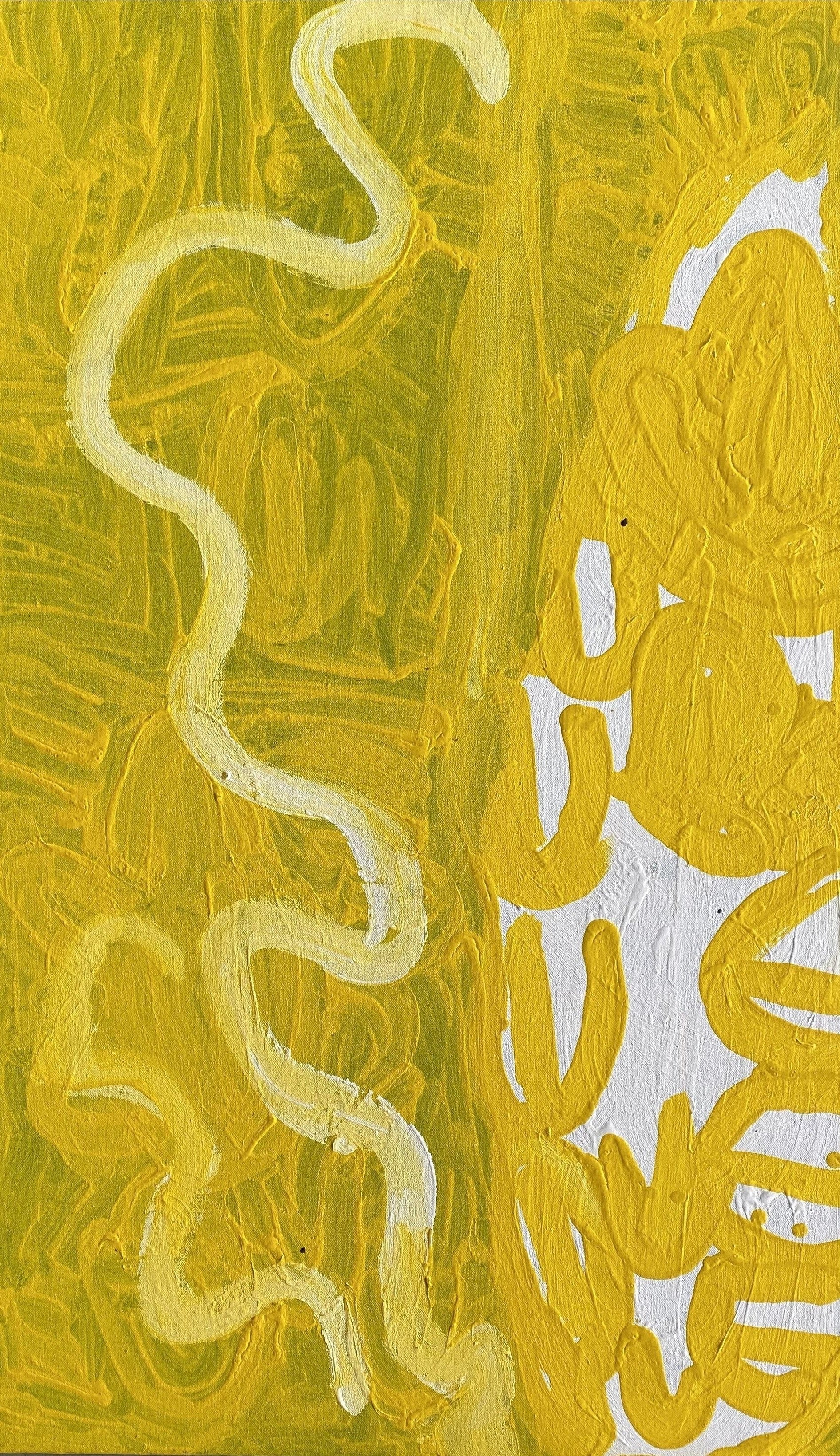 'Bush Turkey & Snake Dreaming' by Lily Hargraves, 85x50cm, Acrylic on Canvas, Northern Territory Aboriginal artwork.