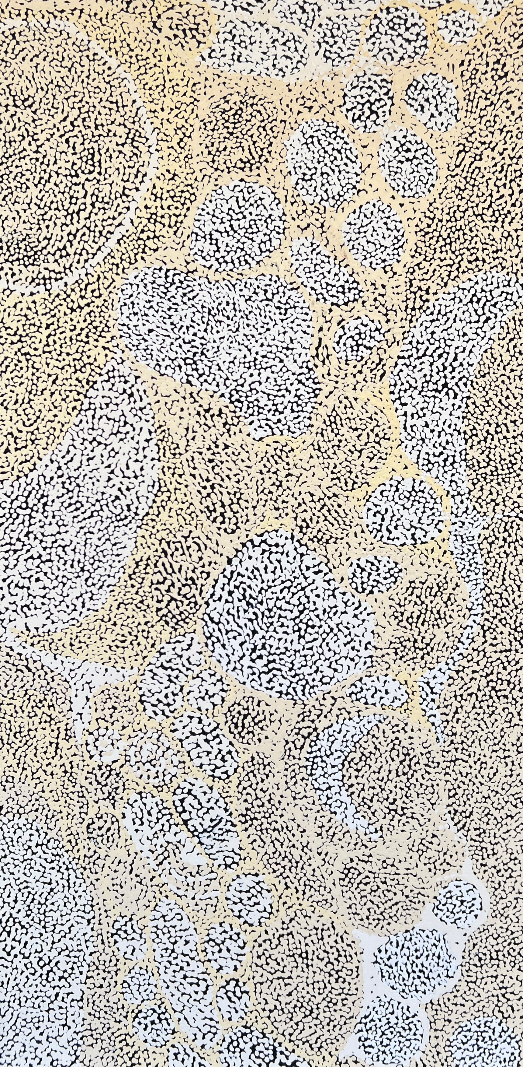 Landscape - Warakurna