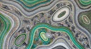 Honey Ant Dreaming - 180cm x 100cm