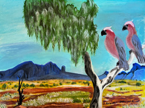 Galahs at Mt Sonder