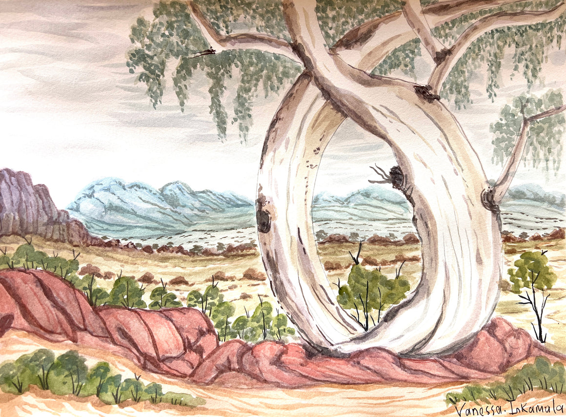 Tjoritja (West MacDonnell Ranges), NT