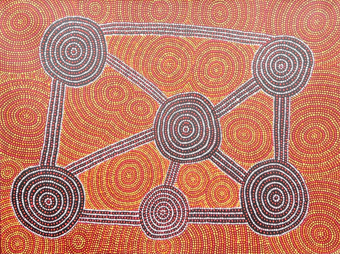 Wardapi Jukurrpa - 76cm x 99cm