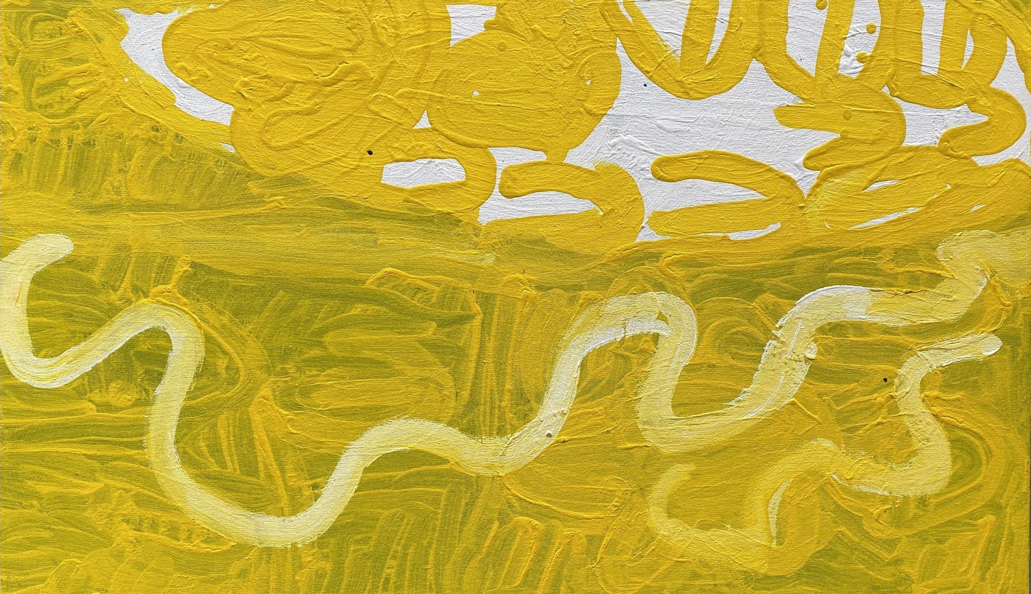 Bush Turkey & Snake Dreaming