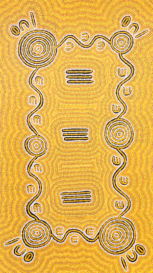 Wardapi Jukurrpa - 66cm x 117cm
