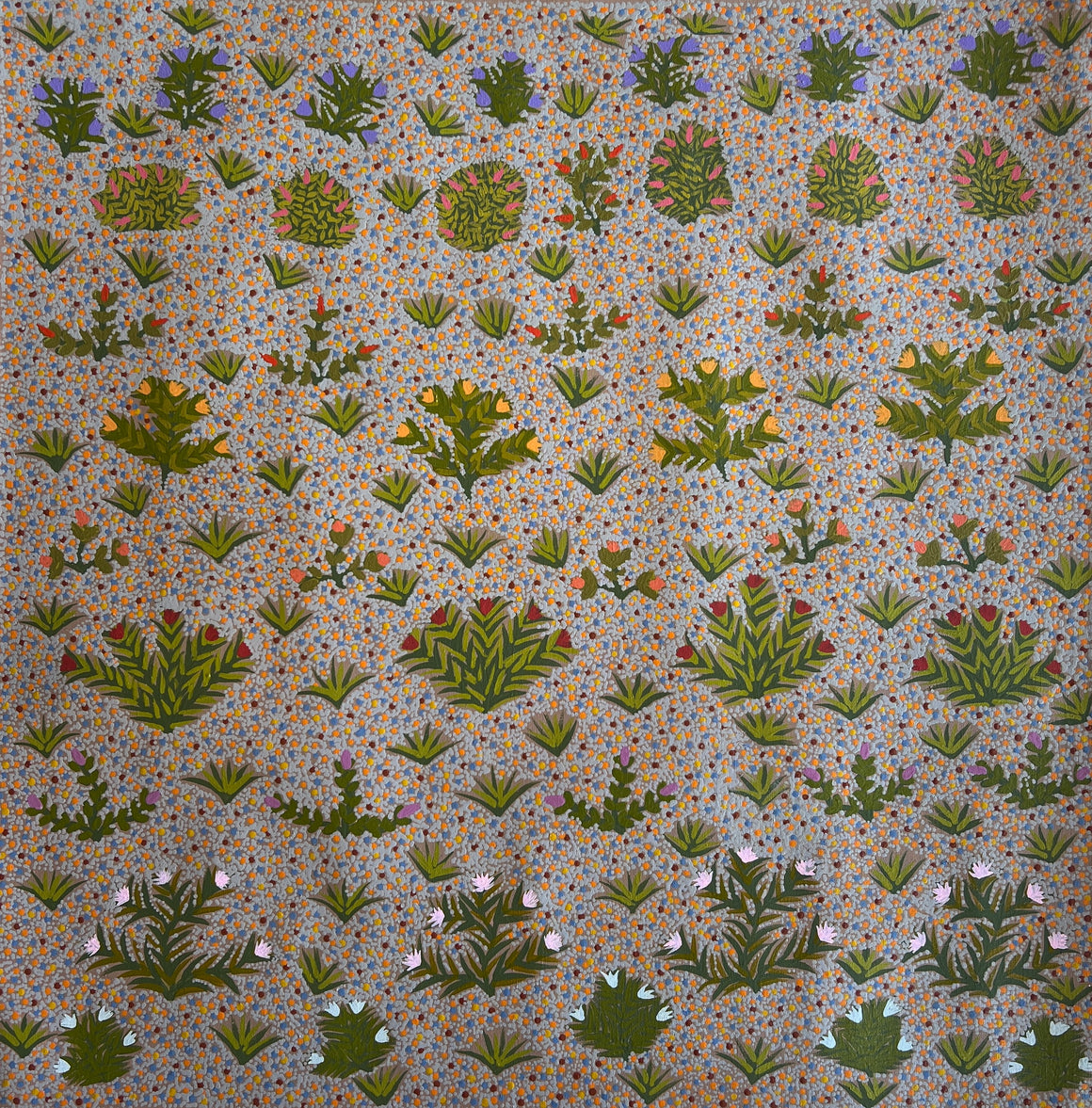 My Mother's Country - 76cm x 76cm