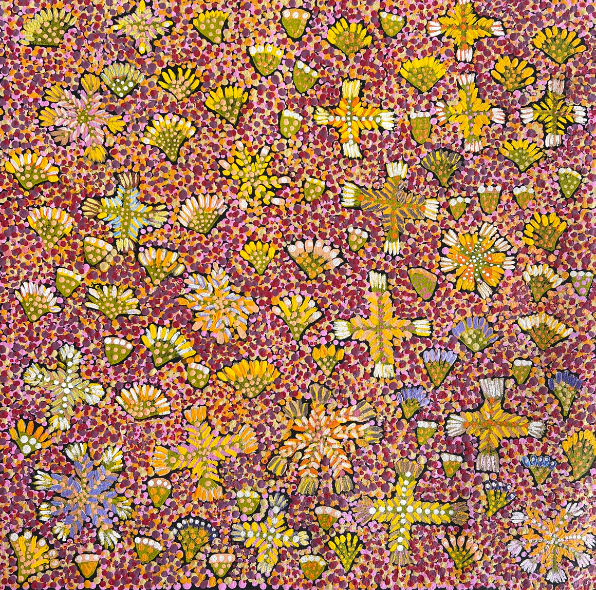 Bush Medicine Plants - 51cm x 51cm