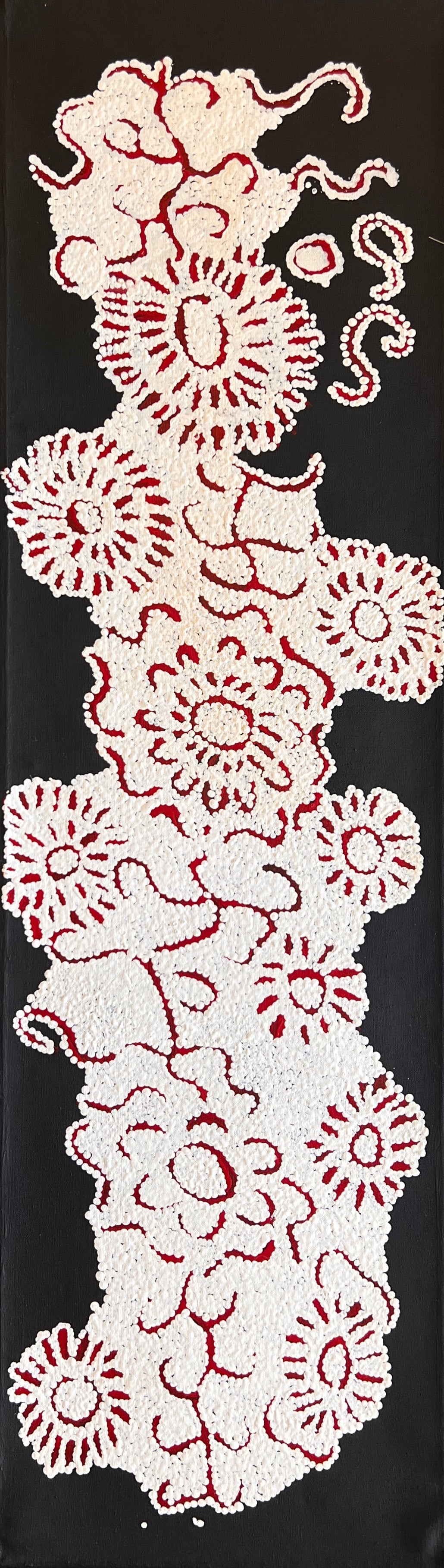 Flying Country Dreaming