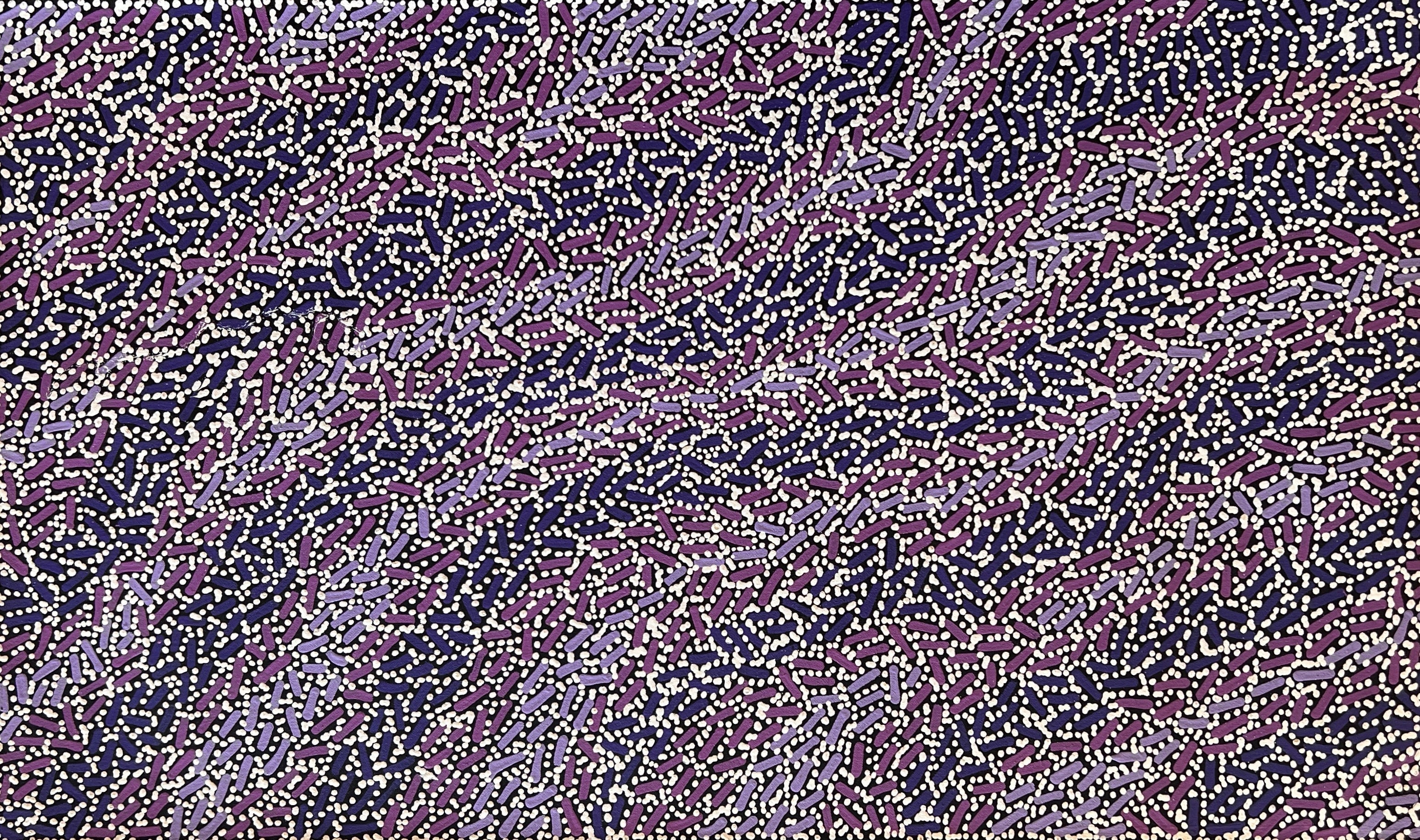 Fire Country Dreaming