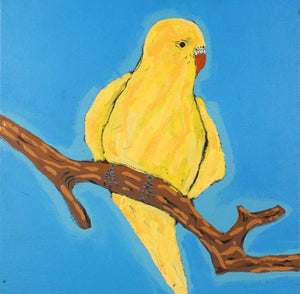 Birds that live around Yuendumu - 61cm x 61cm