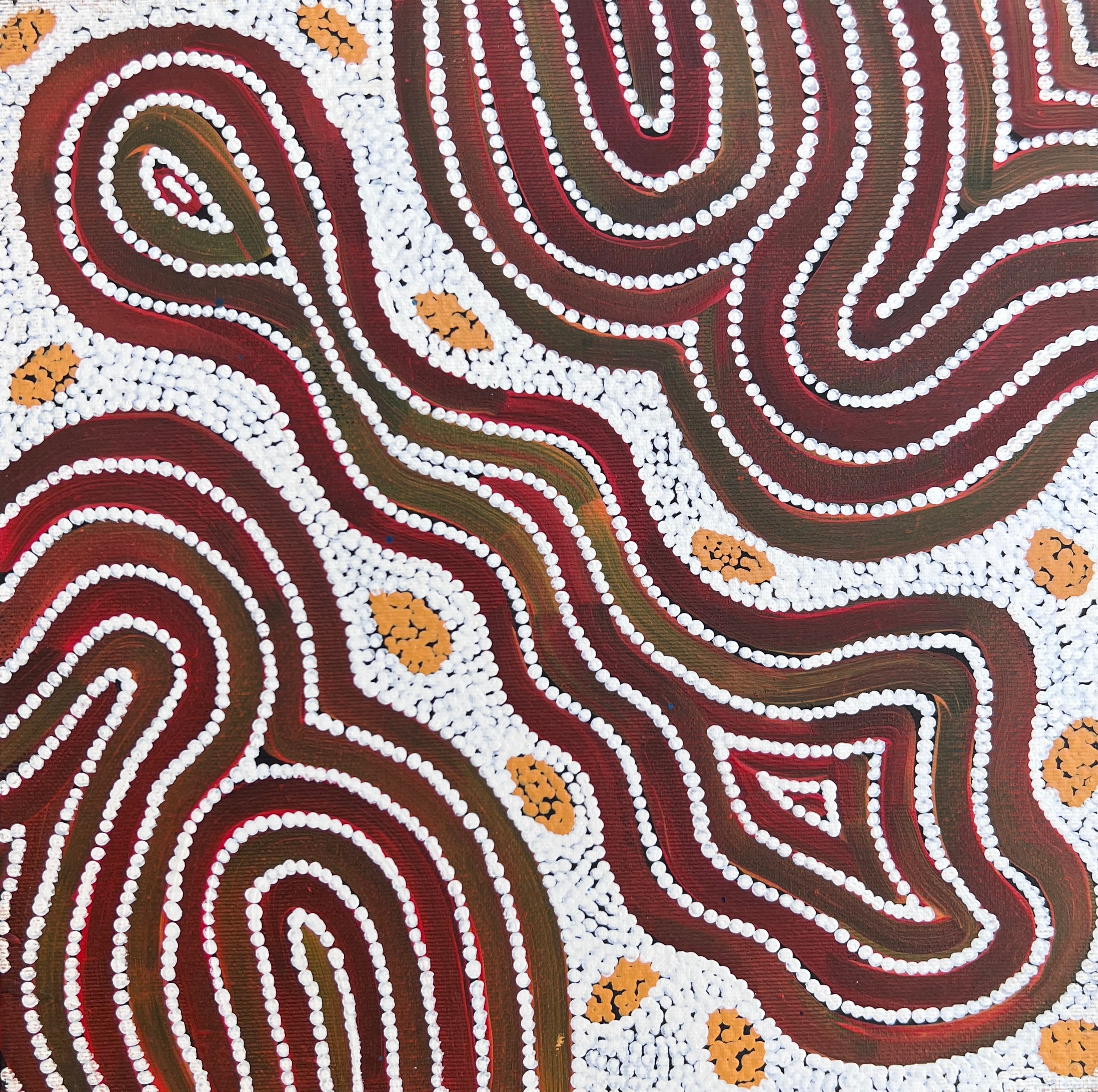 'Bush Potato Dreaming' by Alicka Napanangka Brown, 30x30cm, Central Desert Aboriginal artwork. 