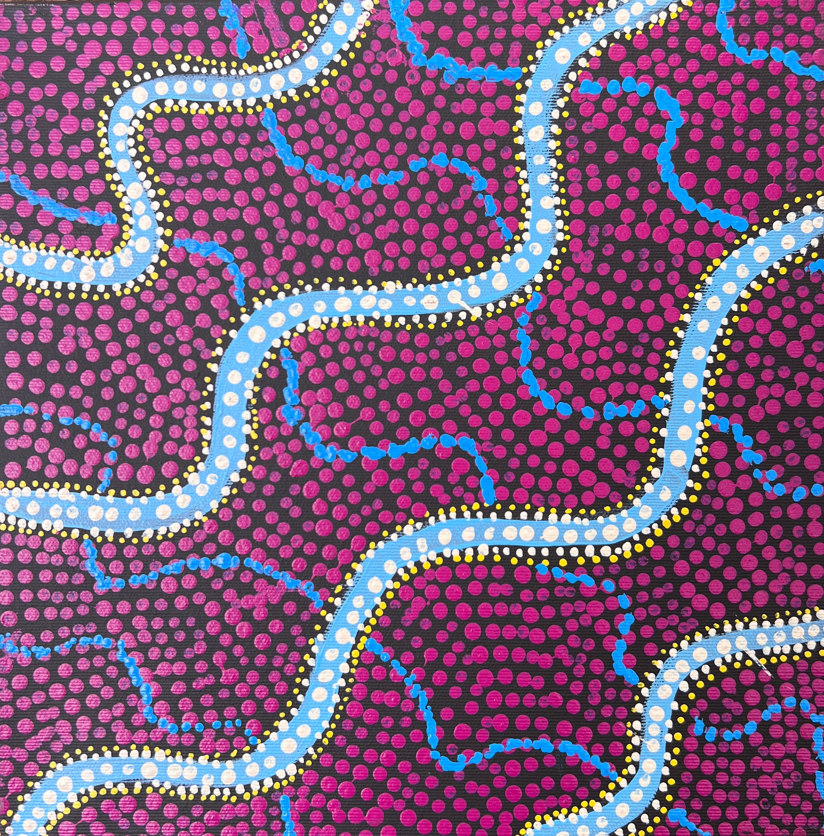 'Snake Dreaming' by Danilda Nakamarra White, 30x30cm, Central Desert Aboriginal artwork. 