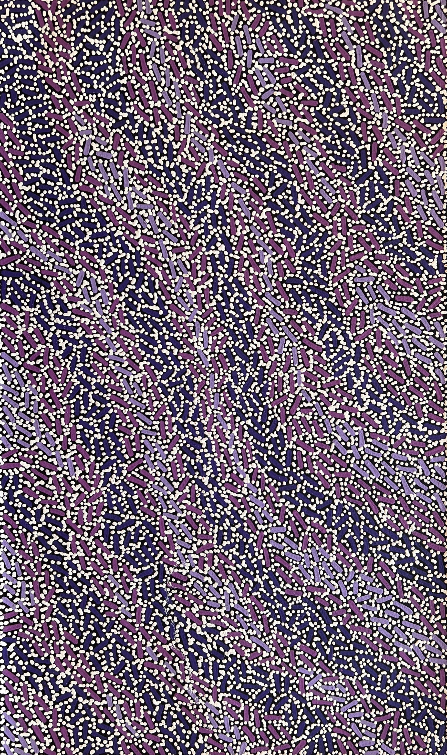 'Fire Country Dreaming' by Nathania Nangala Granites, 76 x 46cm, Central Desert Aboriginal Art
