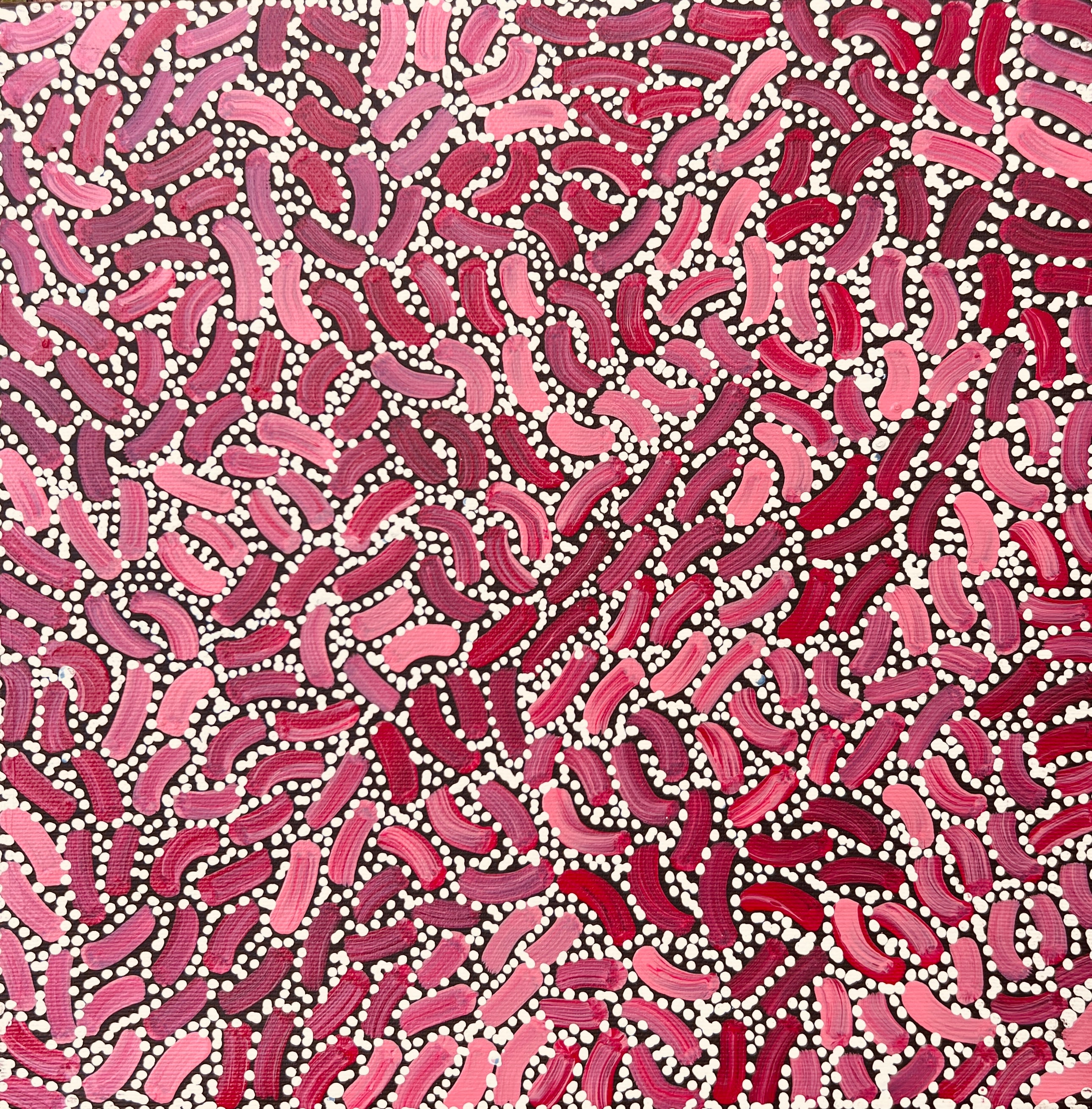 'Fire country Dreaming' by Nathania Nangala Granites, 30x30cm, Central Desert Aboriginal artwork. 