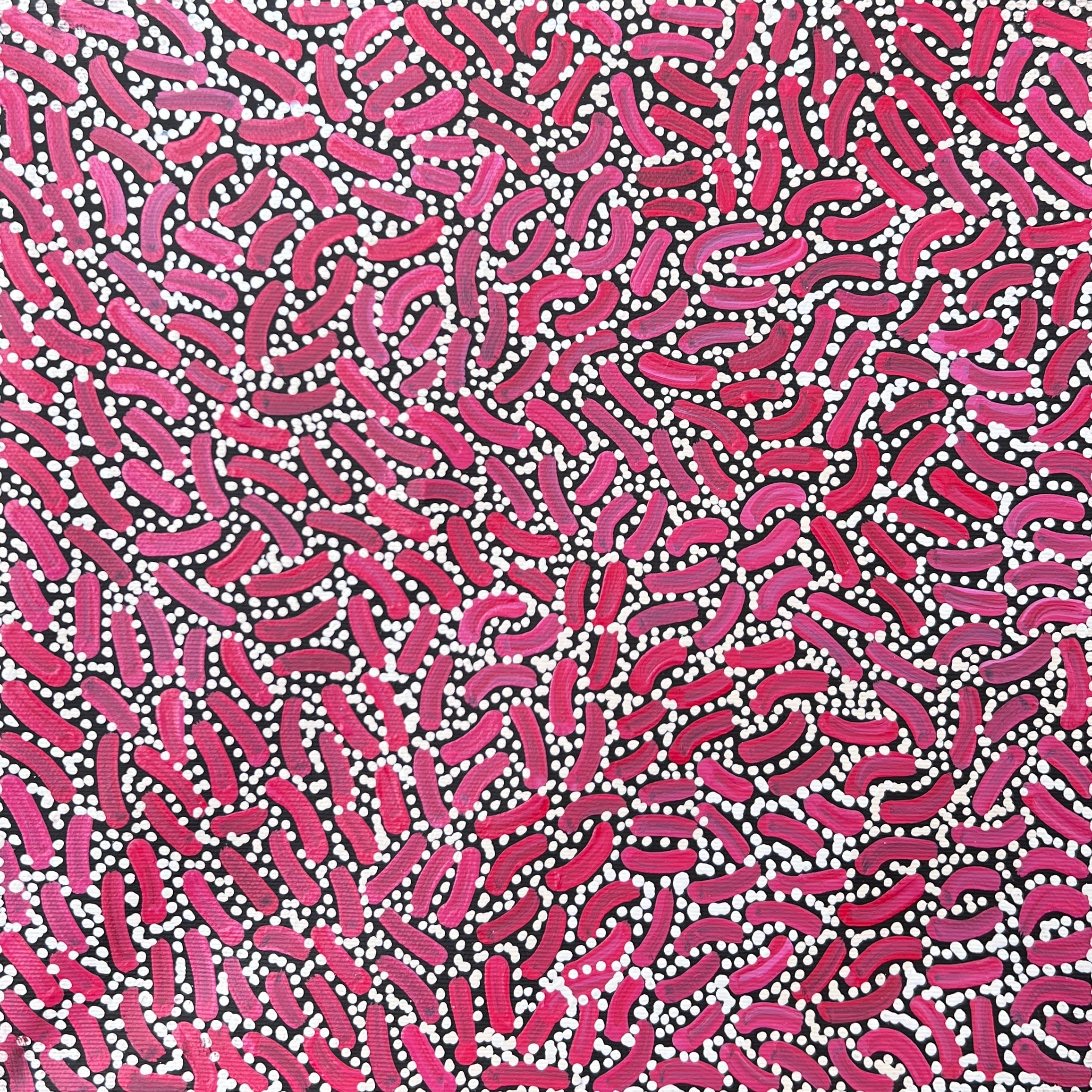 'Fire country Dreaming' by Nathania Nangala Granites, 30x30cm, Central Desert Aboriginal artwork. 