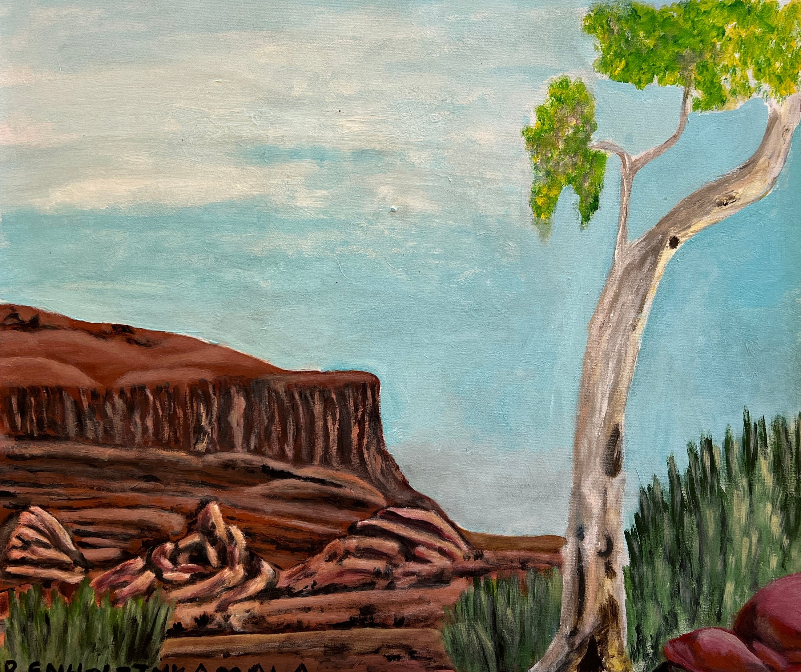 'Alyape' by Reinhold Inkamala, 60.5x71.5cm, Acrylic on Canvas, NT Aboriginal artwork. 