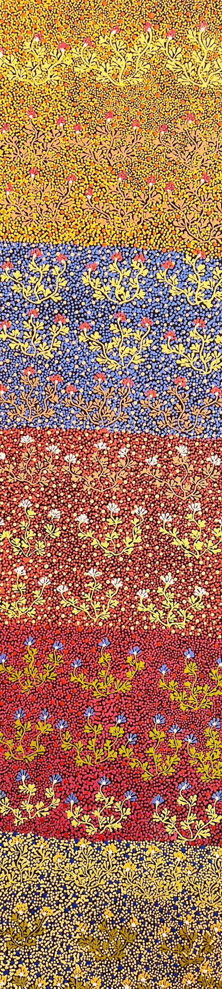 'Bush Medicine Plants' by Sevania Kemarre Bonney, 122x30cm, Northern Territory Aboriginal artwork. 