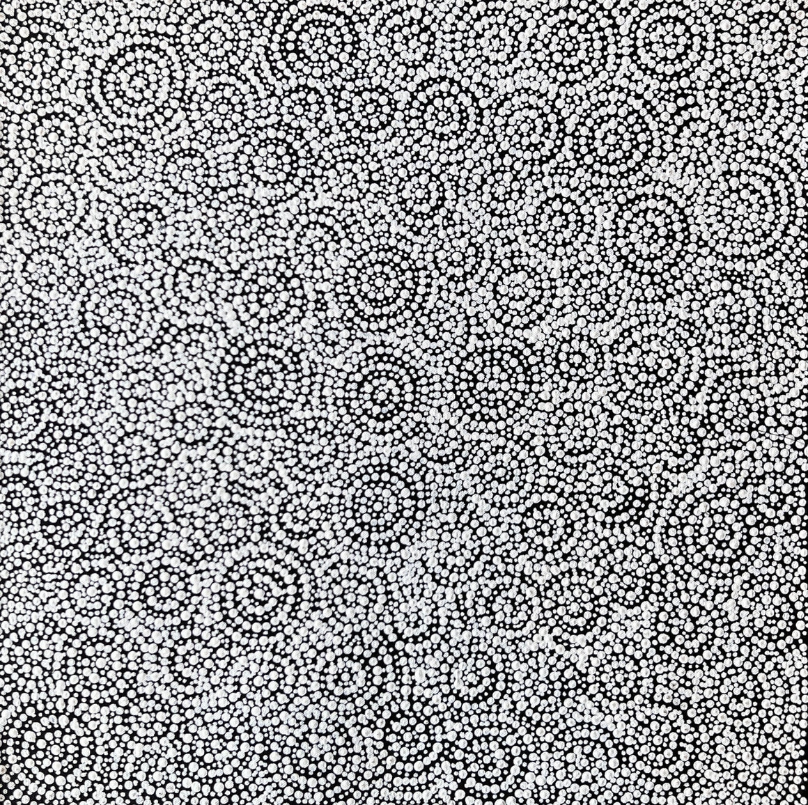Snake Dreaming - 46cm x 46cm