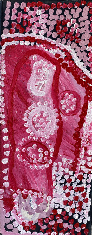 Papulankutja Dreaming - 30cm x 76cm