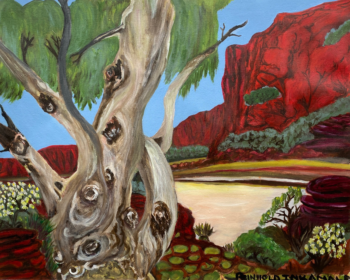 Tjoritja (West MacDonnell Ranges) NT- 57cm x 70cm